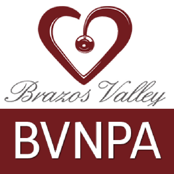 logo-bvnpa-01