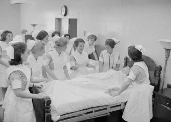 미국의 간호 역사와 발전