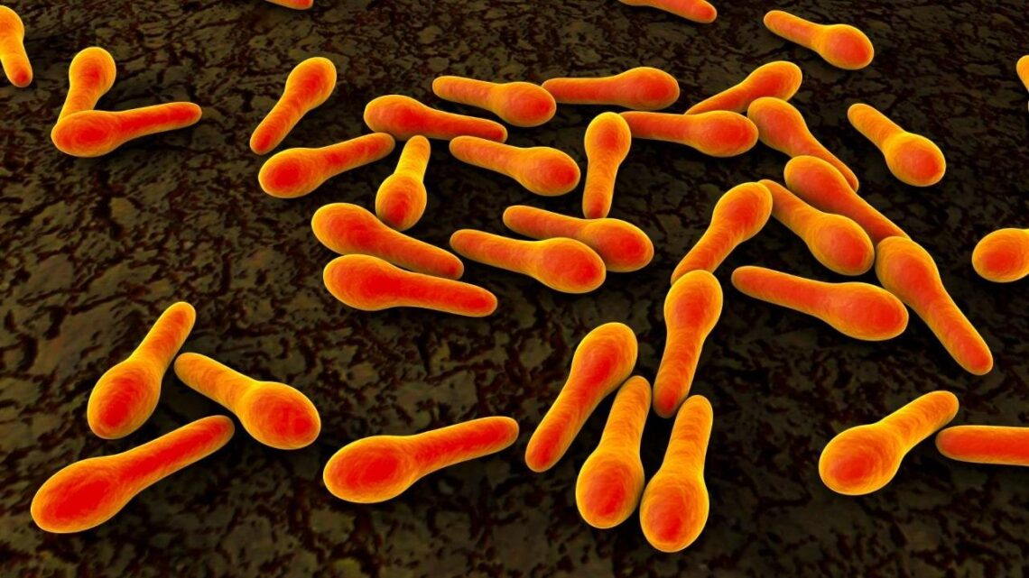 clostridium-botulinum