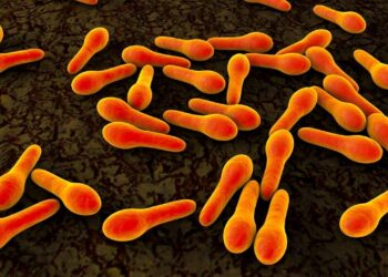 코스트코·트레이더 조스·H-E-B 판매 참치캔, “식중독 위험”으로 리콜