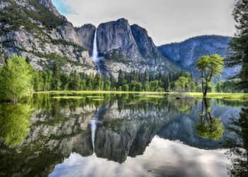 미국여행: 요세미티 국립공원 (Yosemite National Park)